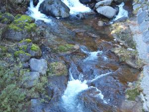 あわ居別棟 一棟貸し