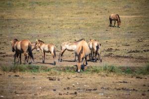 Panorama des Cimes - T3 avec Sauna privé et Vue imprenable sur la Station
