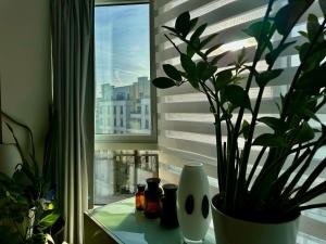 Apt Rue dARIANE - CHESSY - Disneyland PARIS - Parking Privé