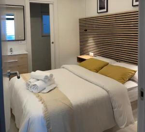 New Apartment Centro