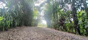 Chácara mobiliada próximo Criciúma Br101