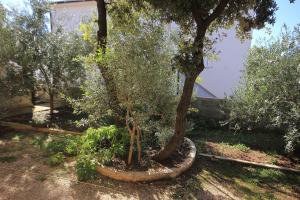 Apartment Mandre 9354d