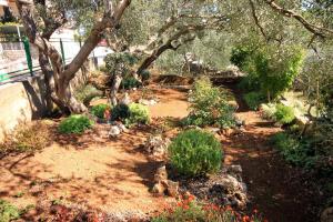 Apartment Lumbarda 4401b