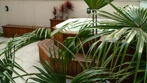 Apartamento TOP Garden com SPA a 550 m da Praia