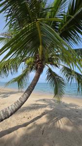 Talayngamvilla ทะเลงามวิลล่ารีสอร์ท