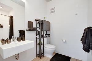 South Loop Rooftop With In & Out Parking 1