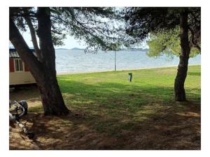 Camping Imperial Vila Matias