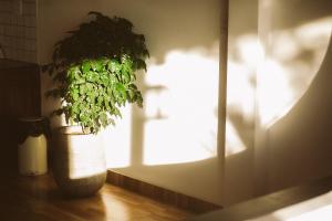 Homestay Hồng Phúc