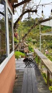 Mùa Hoa Ở Lại homestay