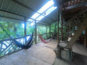 Sacha Wasi - Jungle Medicine Community