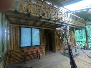 Sacha Wasi - Jungle Medicine Community