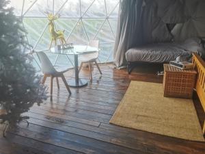 Dome One with Hot Tub, Lincoln, Projector, Firepit