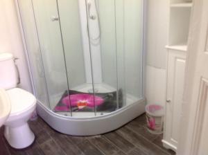 Gouarec Bed & Breakfast photo 18