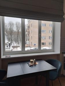 Vyduno apartamentai 11