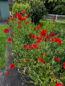 wyeangta - Woodbridge Waterfront Retreat