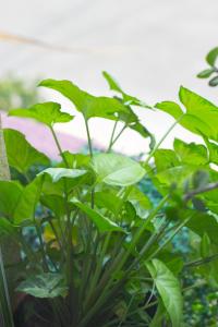 Apartment Condesa, Washer&Dryer, 160MBs Wifi