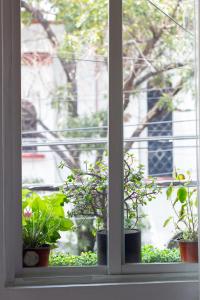 Apartment Condesa, Washer&Dryer, 160MBs Wifi