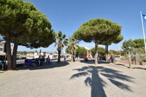 Appartements Le Provence Plage : photos des chambres