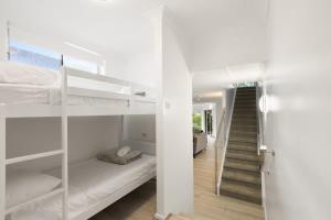 Osprey at Nelson Bay