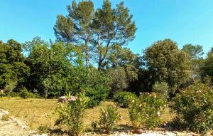 Cozy Home In Besse Sur Issole With Swimming Pool