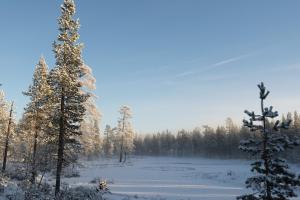 Saariselkä Log Villa