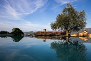 Historic Farmhouse Among Tuscan Olive Trees