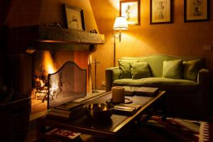 Historic Farmhouse Among Tuscan Olive Trees