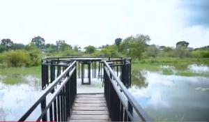 Kataragama leopard One Villa Yala