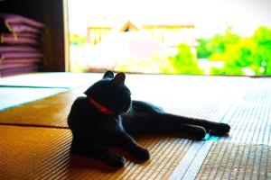 Minamikoma-gun - House - Vacation STAY 19040