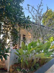 The Pineapple House Unawatuna