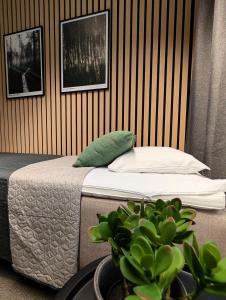 Kotimaailma Rooms Kokkola