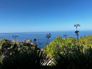 Casa vacanze Ginepro