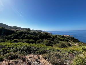 Casa vacanze Ginepro img2