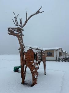 Rezort Zvernica Vlachy - Family & Fun