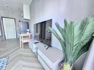 Title Legendary 7 floor Mountain View