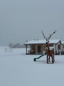 Rezort Zvernica Vlachy - Family & Fun