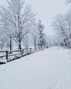 Apartment Country House Zaton