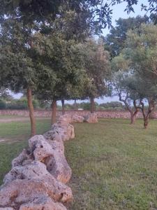 Agriturismo Supramurgia