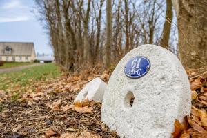 Naturskønt nær Ribe Vikingecenter, se og oplev den gamle by Ribe