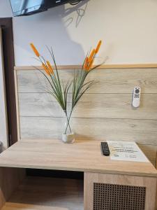 Pokoje Gościnne Nad Jeziorem