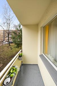 Ramybes Oaze, Nauji stylingi apartamentai