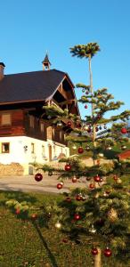 Stadtbauernhof Salzburg - Ferienwohnung - Gut Unterleithen - farm & the city