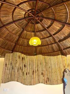 Sora Tam Coc - Bamboo & Wood Traditional Homestay