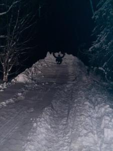 Kodinomainen majoitus Juoksenki, Napapiiri, Lappi