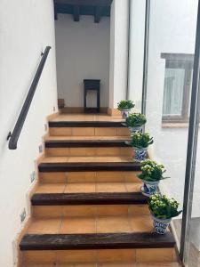 Charminghomesgranada Atardecer en Granada