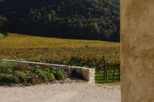 Villa del Brolo - Famiglia Furia