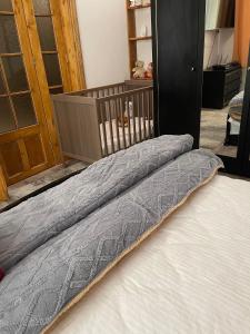 Apartament 4 Regie Orhideea