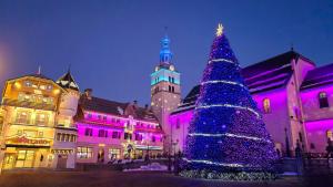 Exceptional view of village and mountain