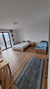 Tatra Mountain Skyline