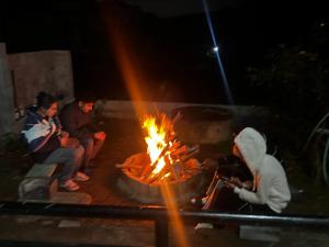 Hideout nest